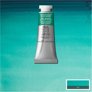 719 - Verde Winsor - Tonalità blu 14 ML Acquerello Professional Winsor e Newton