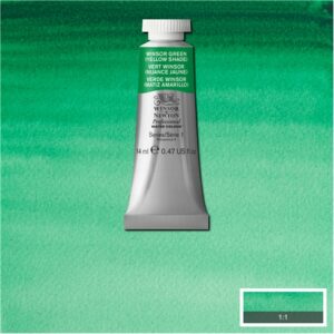 721 - Verde winsor - tonalità gialla 14 ML Acquerello Professional Winsor e Newton