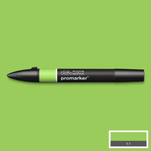 341 - Leaf Green (G258) - Winsor e Newton  Promarker
