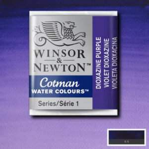 231 - Porpora diossazina 1/2 Godet Acquerello Cotman Winsor e Newton