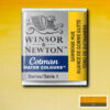 266 - Gommagutta 1/2 Godet Acquerello Cotman Winsor e Newton