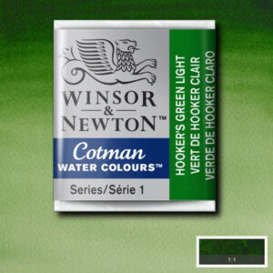 314 - Verde di Hooker chiaro 1/2 Godet Acquerello Cotman Winsor e Newton