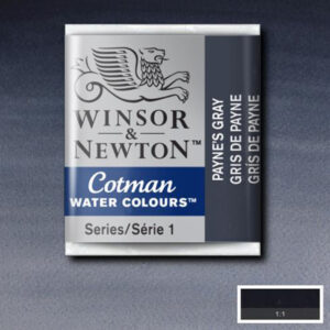 465 - Grigio Payne 1/2 Godet Acquerello Cotman Winsor e Newton