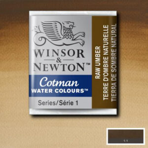 554 - Terra d'ombra naturale 1/2 Godet Acquerello Cotman Winsor e Newton