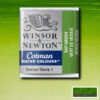 599 - Verde vescica 1/2 Godet Acquerello Cotman Winsor e Newton
