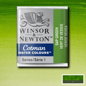 599 - Verde vescica 1/2 Godet Acquerello Cotman Winsor e Newton