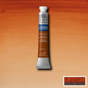 074 - Terra di Siena bruciata 8 ML Acquerello Cotman Winsor e Newton