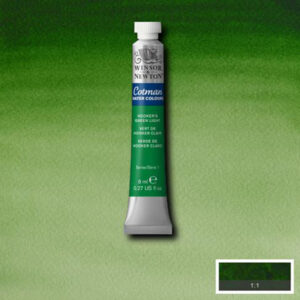 314 - Verde di Hooker chiaro 8 ML Acquerello Cotman Winsor e Newton