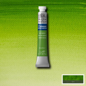 599 - Verde vescica 8 ML Acquerello Cotman Winsor e Newton