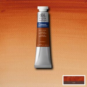 074 - Terra di Siena bruciata 21 ML Acquerello Cotman Winsor e Newton