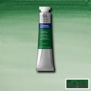 312 - Verde di Hooker scuro 21 ML Acquerello Cotman Winsor e Newton