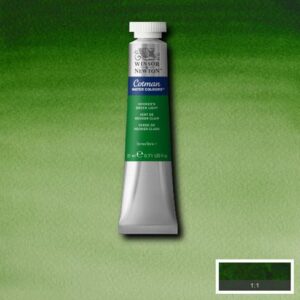 314 - Verde di Hooker chiaro 21 ML Acquerello Cotman Winsor e Newton