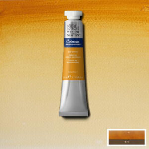 552 - Terra di Siena naturale 21 ML Acquerello Cotman Winsor e Newton