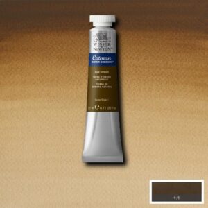 554 - Terra d'ombra naturale 21 ML Acquerello Cotman Winsor e Newton