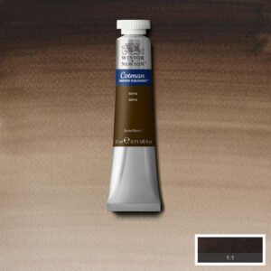 609 - Seppia 21 ML Acquerello Cotman Winsor e Newton