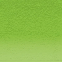 C420 - Green Matita Colorata Coloursoft Derwent