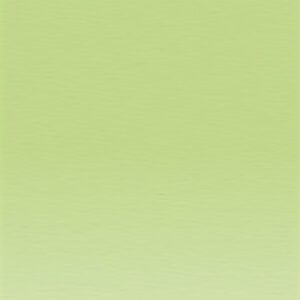 C460 - Lime Green Matita Colorata Coloursoft Derwent