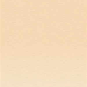 C570 - Pale Peach Matita Colorata Coloursoft Derwent