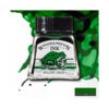046 - Verde Brillante 14 ML Inchiostro di China Winsor e Newton
