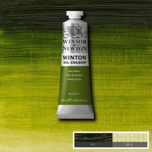W035 - 599 - Verde vescica 37 ML Olio Winton Winsor e Newton