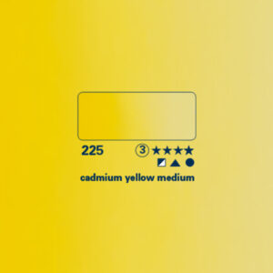 225 - giallo di cadmio medio Acquerello 5 ML Horadam Schmincke