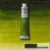 W035 - 599 - Verde vescica 200 ML Olio Winton Winsor e Newton