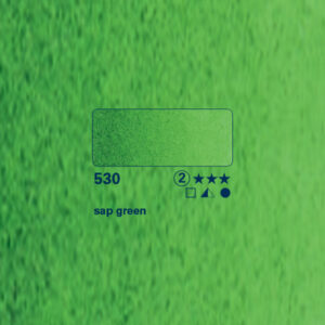 530 - verde bosco Acquerello 1/2 Godet Horadam Schmincke