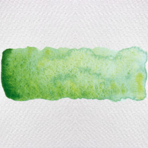 933 - verde palude Acquerello 5 ML Horadam Supergranulation Schmincke