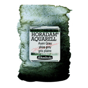 935 - grigio palude Acquerello 1/2 Godet Horadam Supergranulation Schmincke