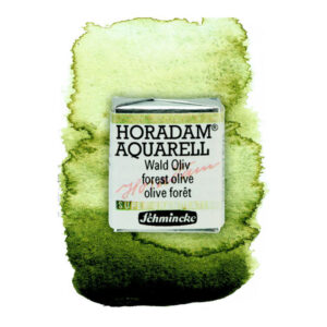 941 - oliva bosco Acquerello 1/2 Godet Horadam Supergranulation Schmincke
