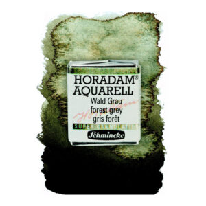 945 - grigio bosco Acquerello 1/2 Godet Horadam Supergranulation Schmincke