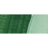 552 - Verde Foglia Colore Acrilico 250 ML Akademie Schmincke