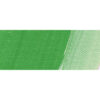 554 - Verde Permanente Colore Acrilico 250 ML Akademie Schmincke
