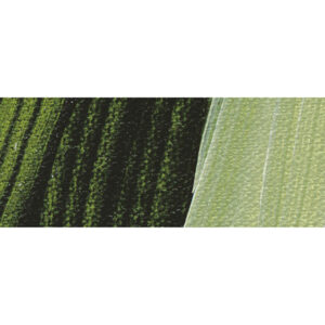 560 - Verde Bosco Colore Acrilico 250 ML Akademie Schmincke