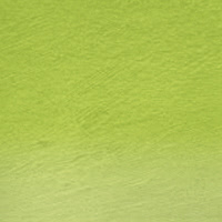 47 - Grass green Matite  Acquerellabili Derwent Watercolour