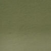 51 - Olive green Matite  Acquerellabili Derwent Watercolour