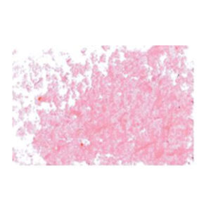 18 - Rosa Garanza - 11 MM Pastelli a Olio Jaxon