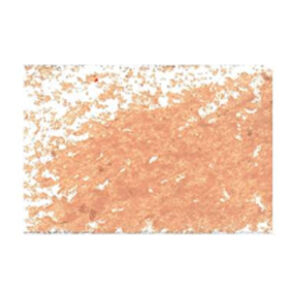 21 - Carnicino - 11 MM Pastelli a Olio Jaxon