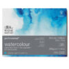 Blocco Professional Watercolor Collato 4 Lati, Grana Fine 30.5 x 40.6 cm, 20 Fogli, 300 gr Winsor e Newton