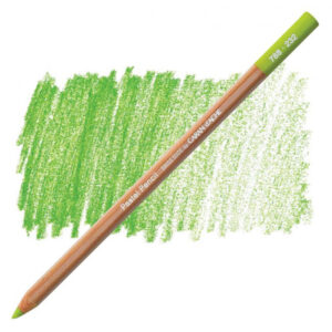 232 - Verde Muschio Medio  10% Matita Gessosa Pastel Pencil Caran d'Ache