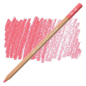 582 - Rosa ritratto Matita Gessosa Pastel Pencil Caran d'Ache