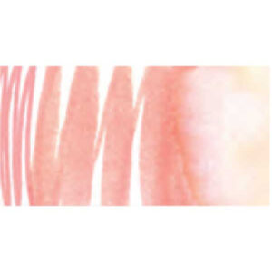 030 - Incarnato Scuro AquaBrushDuo Lyra