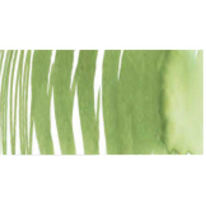 068 - Verde Cromo AquaBrushDuo Lyra