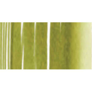 074 - Verde Vescica AquaBrushDuo Lyra