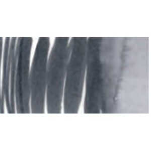 098 - Grigio Scuro Freddo AquaBrushDuo Lyra