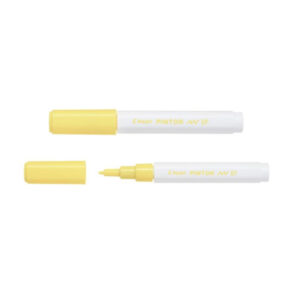 Giallo - Punta Extra Fine Pilot Pintor Classic