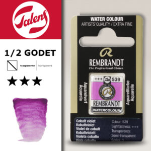 539 - Violetto Cobalto Acquerello 1/2 Godet Rembrandt Aquarel Talens
