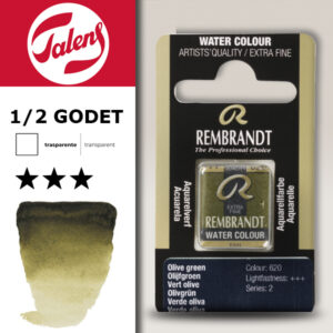 620 - Verde Oliva Acquerello 1/2 Godet Rembrandt Aquarel Talens