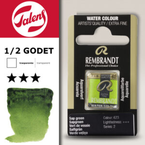 623 - Verde Vescica Acquerello 1/2 Godet Rembrandt Aquarel Talens