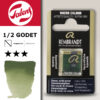 668 - Verde Ossido Cromo Acquerello 1/2 Godet Rembrandt Aquarel Talens